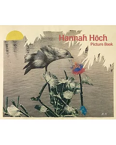 Hannah hoch Picture Book