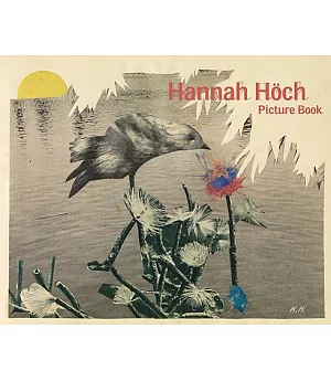 Hannah Hoch Picture Book