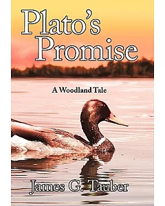 Plato’s Promise: A Woodland Tale
