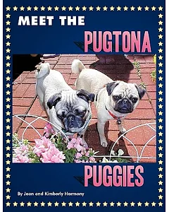 Meet the Pugtona Puggies