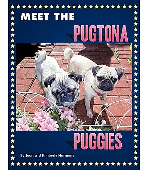 Meet the Pugtona Puggies