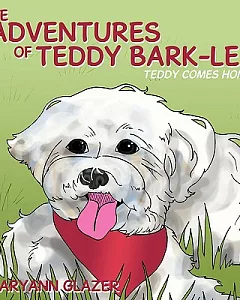 The Adventures of Teddy Bark-lee: Teddy Comes Home