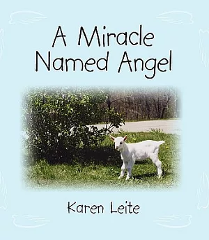 A Miracle Named Angel