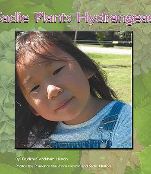 Sadie Plants Hydrangeas