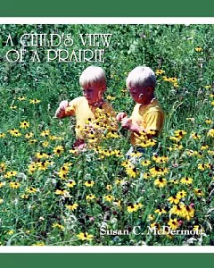 A child’s View of a Prairie