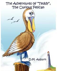 The Adventures of ”Teddy”, the Curious Pelican