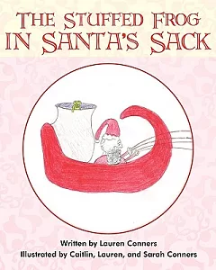 The Stuffed Frog in Santa’s Sack