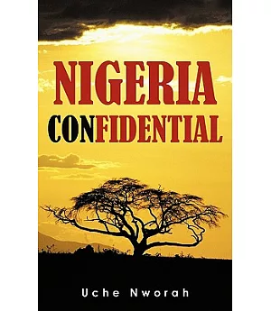 Nigeria Confidential: A Blogger’s Musings About His Country