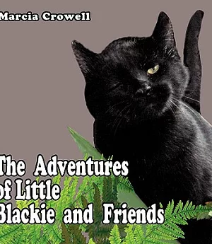 The Adventures of Little Blackie and Friends