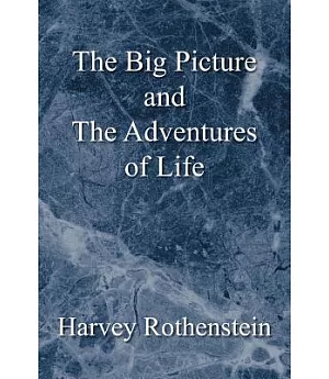 The Big Picture and the Adventures of Life