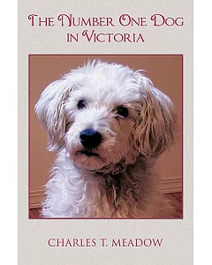 The Number One Dog in Victoria