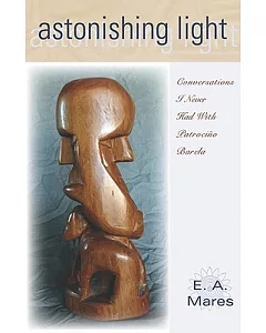 Astonishing Light: Conversations I Never Had With Patrocino Barela