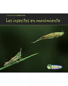 Los insectos en movimiento / Bugs on the Move