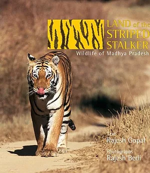Land of the Striped Stalker: Wildlife of Madhya Pradesh