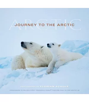 Journey To The Arctic