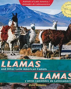 Llamas y otros camelidos de Latinoamerica / Llamas and Other Latin American Camels