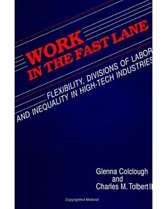 Work in the Fast Lane: Flexibility, Divisions of Labor, and Inequality in High-Tech Industries