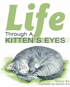 Life Through a Kitten’s Eyes