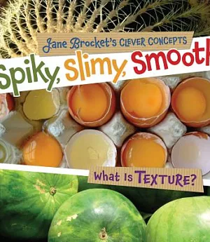 Spiky, Slimy, Smooth: What Is Texture?