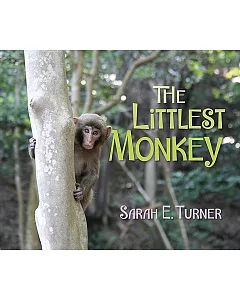 The Littlest Monkey