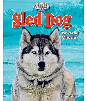 Sled Dog: Powerful Miracle
