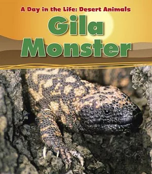 Gila Monster