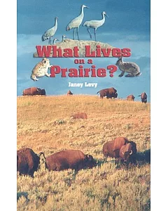 What Lives on a Prairie?