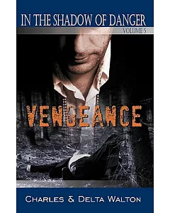 Vengeance: In the Shadow of Danger