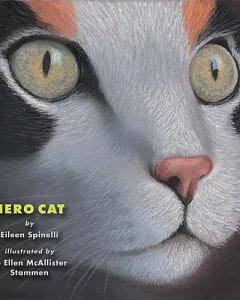 Hero Cat