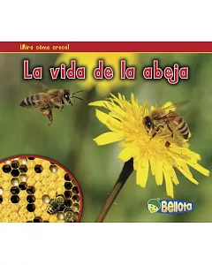 La vida de la abeja / A Bee’s Life