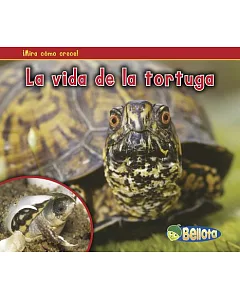 La vida de la tortuga / A Turtle’s Life