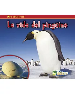 La vida del pinguino / A Penguin’s Life