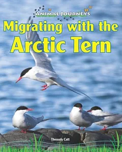 Migrating With the Arctic Tern