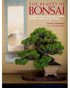 The Beauty of Bonsai: A Guide to Displaying and Viewing Nature’s Exquisite Sculpture