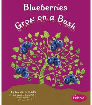 Blueberries Grow on a Bush
