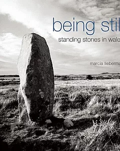 Being Still: Standing Stones in Wales
