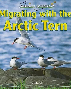 Migrating With the Arctic Tern