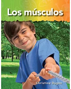 Los musculos / Muscles