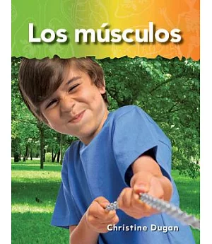 Los musculos / Muscles