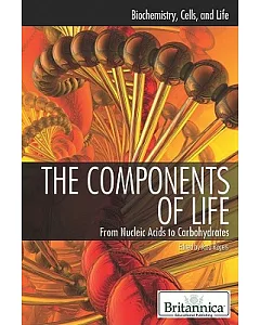 The Components of Life: From Nucleic Acids to Carbohydrates