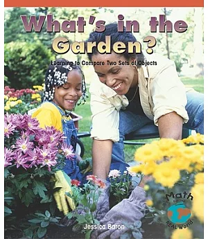 What’s in the Garden? Learning to Compare Two Sets of Objects
