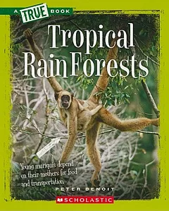 Tropical Rain Forests