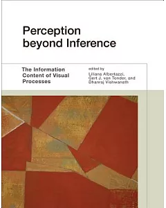 Perception Beyond Inference: The Information Content of Visual Processes