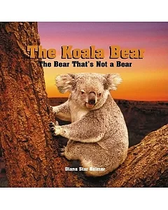 The Koala Bear: The Bear That’s Not a Bear