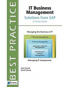 IT Business Management Solutions from SAP: A Pocket Guide