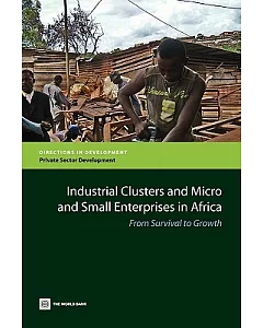 Industrial Clusters and Micro and Small Enteprices in Africa: From Survival to Growth