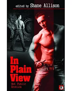 In Plain View: Hot Public Gay Erotica