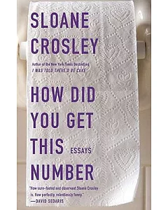 How Did You Get This Number: Essays