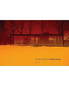 James welling Glass House