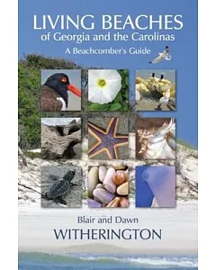 Living Beaches of Georgia and the Carolinas: A Beachcomber’s Guide